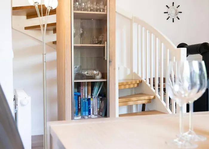 9150 Seehund 1 * Süssau